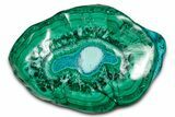 Vibrant Polished Malachite with Chrysocolla - DR Congo #336823-1